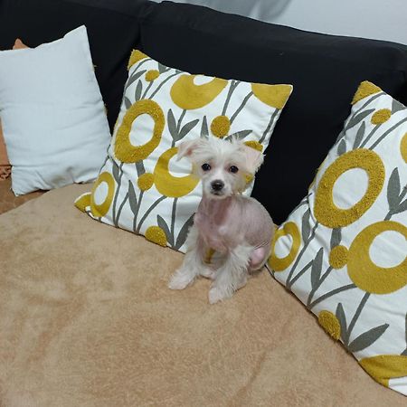Casa De Ciss Apartment มาดริด ภายนอก รูปภาพ