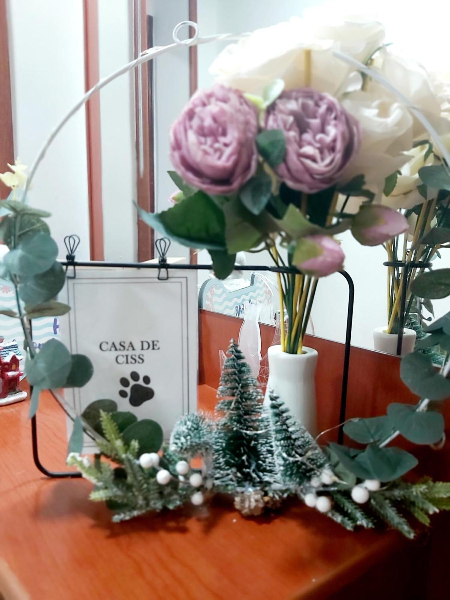 Casa De Ciss Apartment มาดริด ภายนอก รูปภาพ