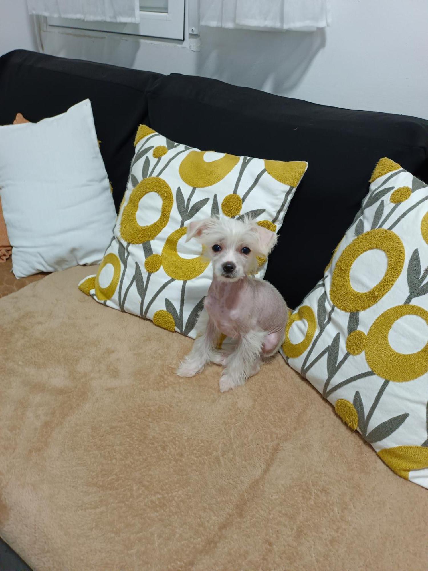Casa De Ciss Apartment มาดริด ภายนอก รูปภาพ